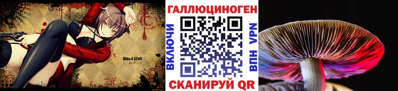 Галлюциногенные грибы GOLDEN TEACHER  Питкяранта 